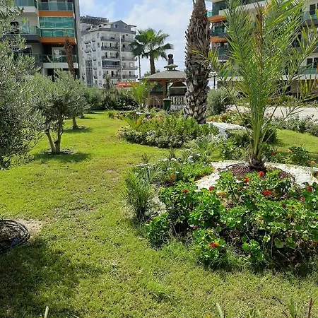 Robi Apartment
